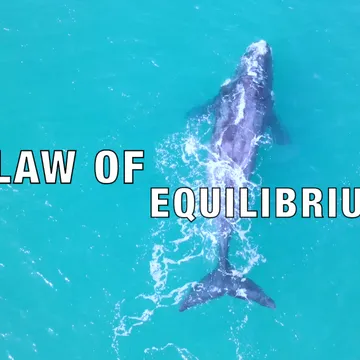 Contemplative Intelligence© & Spiritual Transformation with Mark L Lockwood