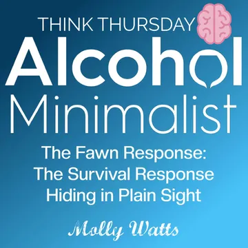 The Alcohol Minimalist Podcast