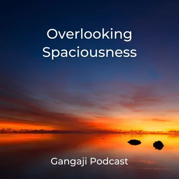 Embracing Spaciousness: Gangaji's Guide to Being Yourself
