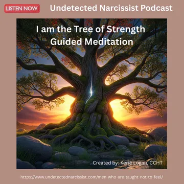 The Undetected Narcissist Podcast