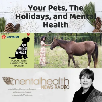 Mental Health News Radio