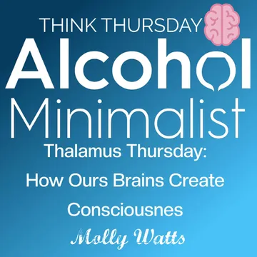 The Alcohol Minimalist Podcast