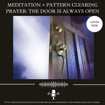 The Undetected Narcissist Podcast