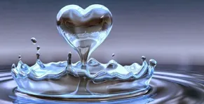 Riding Life's Waves with Formula A