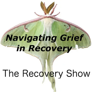 The Recovery Show » Finding serenity through 12 step recovery in Al-Anon – a podcast