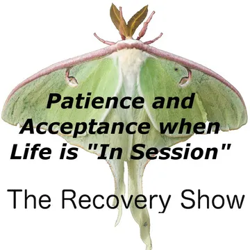 The Recovery Show » Finding serenity through 12 step recovery in Al-Anon – a podcast