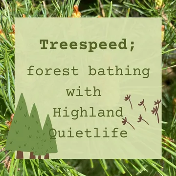 Treespeed; forest bathing with Highland Quietlife