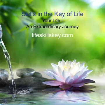 Your Life - An Extraordinary Journey