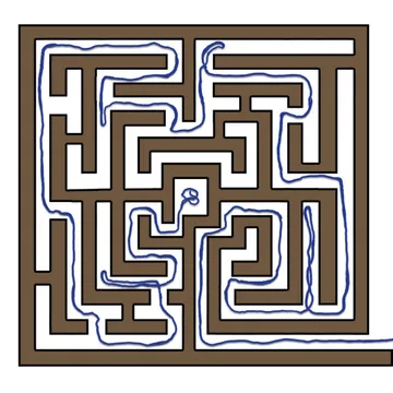 The Labyrinth and the Thread