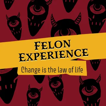 The Felon Experience